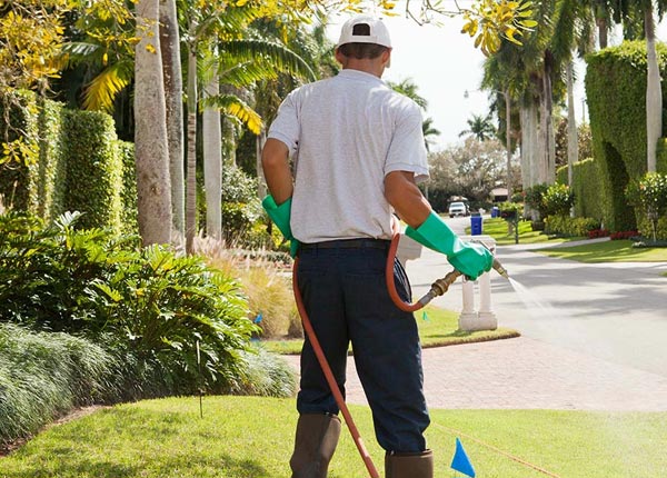 About Sebastian TX Pest Control